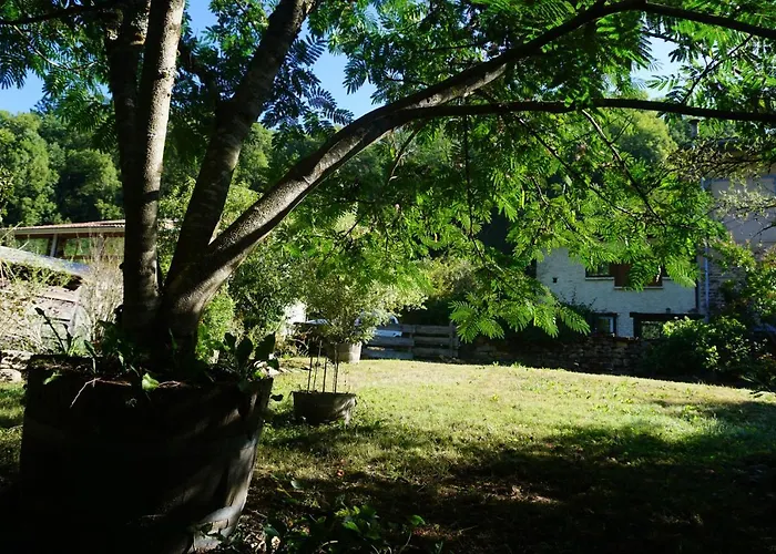 Les Hiboux * Castelnau-Durban