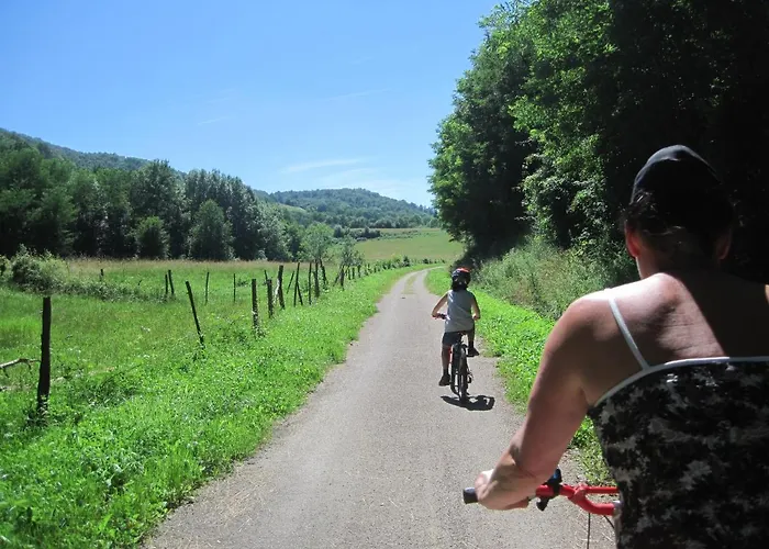 Les Hiboux Castelnau-Durban