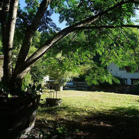 Les Hiboux * Castelnau-Durban